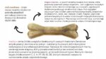 kość do żucia maxxi 22cm kaczka malina syta micha