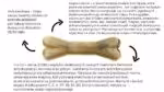 syta micha. kość do żucia dla psa z kaczką i malinami 22 cm maxxi