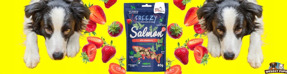 syta micha. liofilizowane przysmaki dla psa Łosoś z truskawką freezy 40g