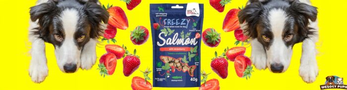 syta micha liofilizowane przysmaki Łosoś z truskawką freezy 40 g