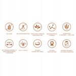 perro jagnięcina z dynią dla psów dorosłych 800g