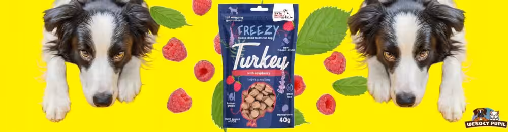 syta micha. liofilizowane przysmaki dla psa indyk z malinami freezy 40g