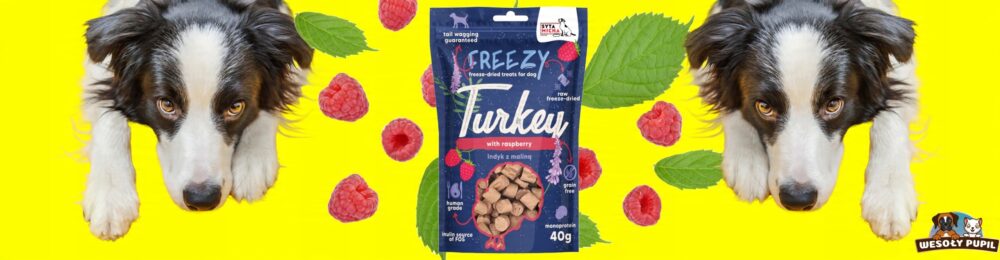 syta micha. liofilizowane przysmaki dla psa indyk z malinami freezy 40g