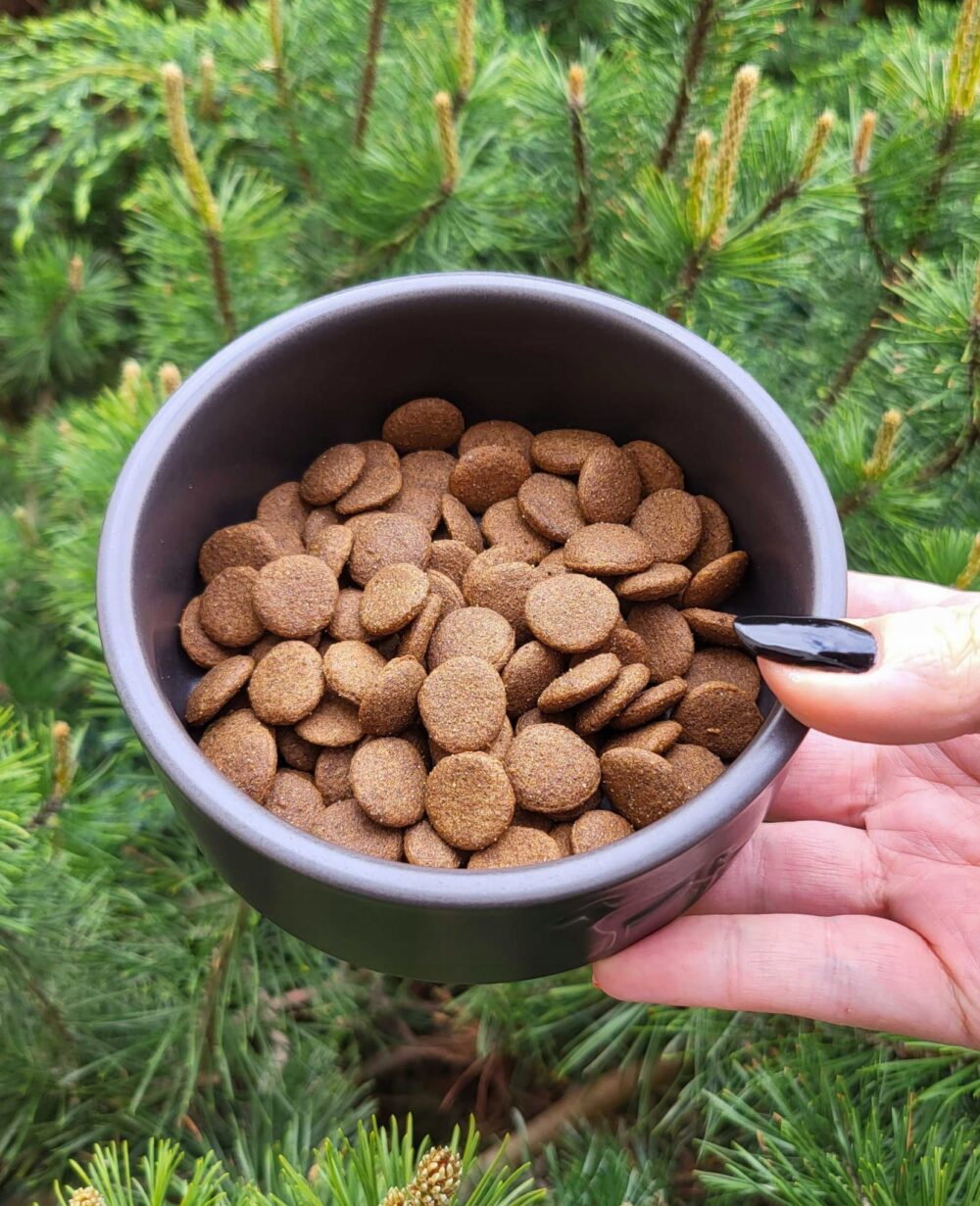 syta micha chef. sucha karma dla psa Łosoś, pasternak i truskawka 1.5kg