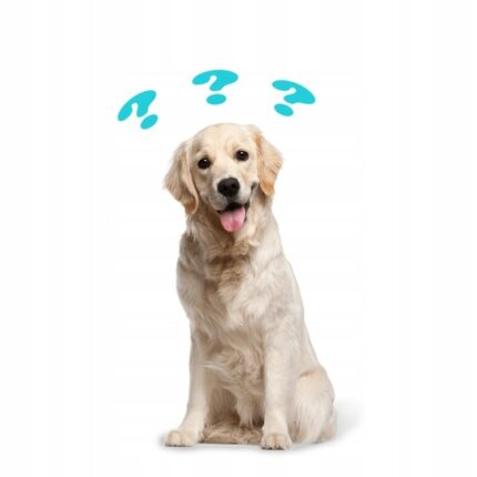 syta micha.  digestion oil dla psa 250ml