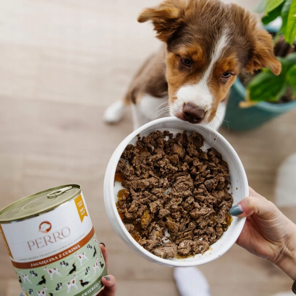 perro. karma mokra junior jagnięcina z cukinią monobiałkowa 800g