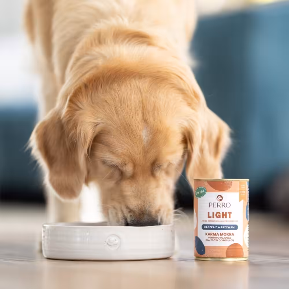 perro. mokra karma dla psa light kaczka z warzywami 400g