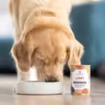 perro. mokra karma dla psa light kaczka z warzywami 400g