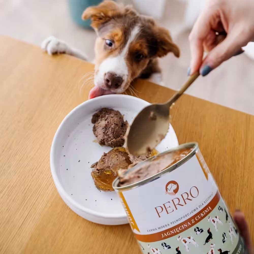 perro. karma mokra junior jagnięcina z cukinią monobiałkowa 800g