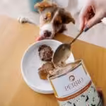 perro. karma mokra junior jagnięcina z cukinią monobiałkowa 800g
