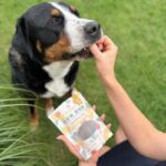 perro.  bon bon jagniĘcina - wsparcie odporności 80g