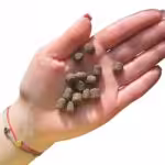 karma sucha dla psa farma adult tłoczona na zimno królik 2kg