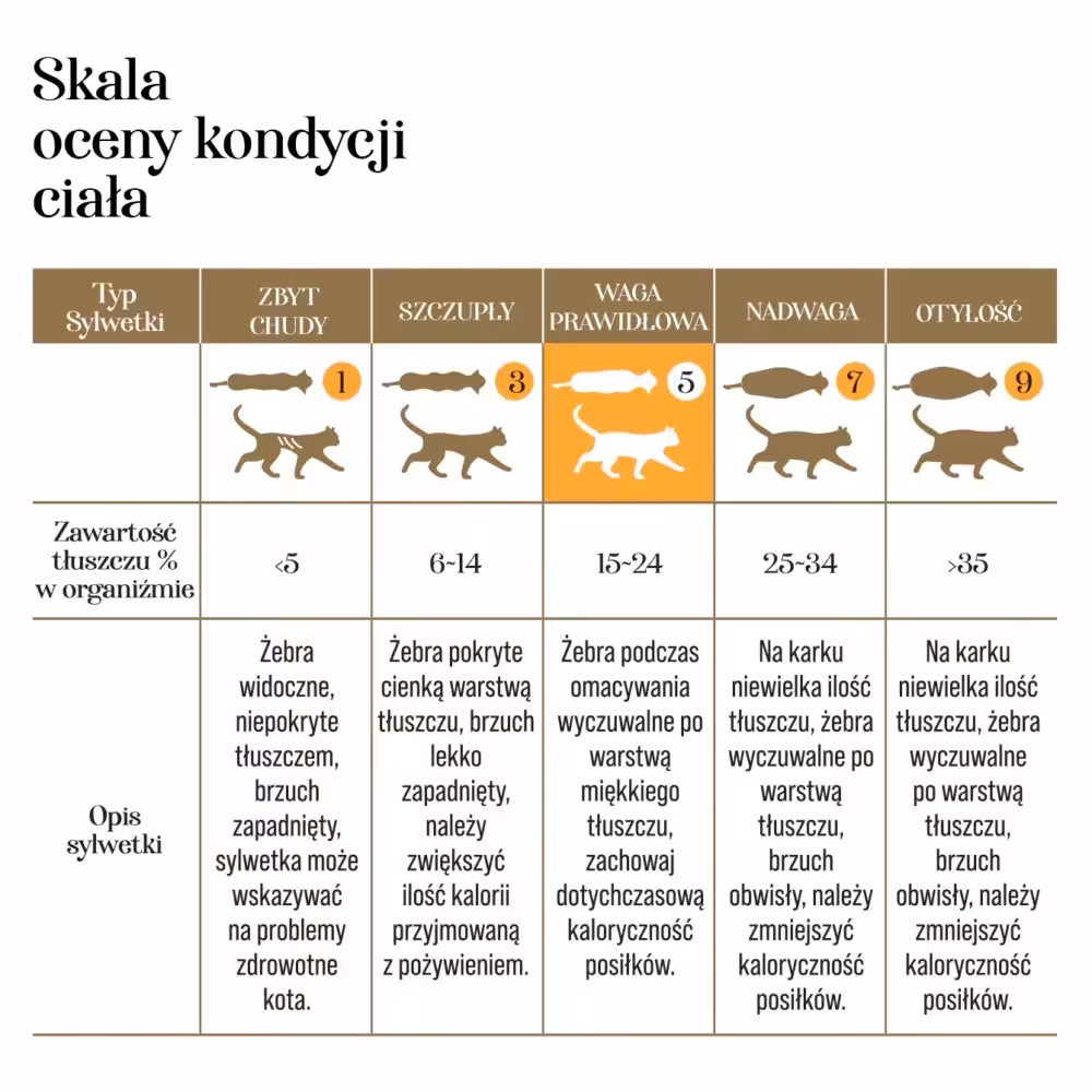 a94f7a50f8d23a88879bf32aea1e2429